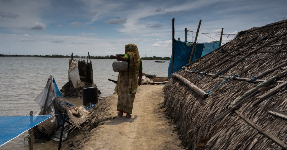 Bangladesh, other South Asian countries’ climate resilience will be private sector led