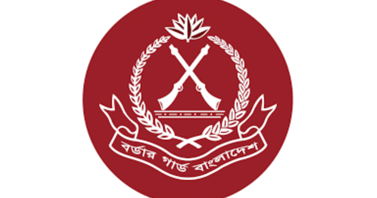 BGB seizes Tk 1,900cr worth of smuggled goods in 2025