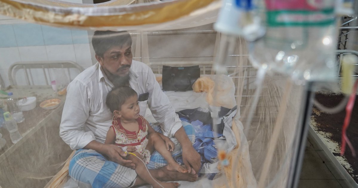 14 fresh dengue cases detected overnight