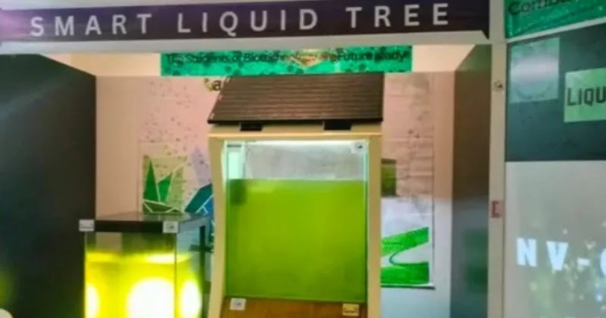 JU researchers unveil ‘Liquid-Tree’ to clean urban air