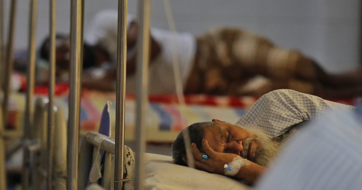 19 more dengue patients hospitalized in 24hrs