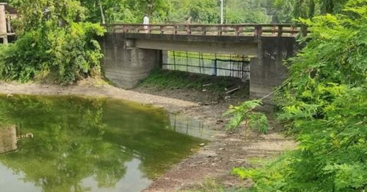 Farmers suffer huge losses as waterlogging damages crops in Bagmara