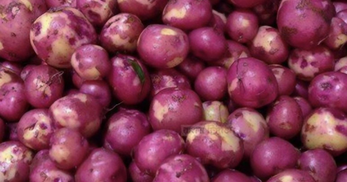 Farmers count huge losses due to steep drop in potato prices