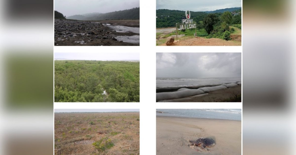 GEF approves FAO-led biodiversity project worth $9.2 million for Bangladesh