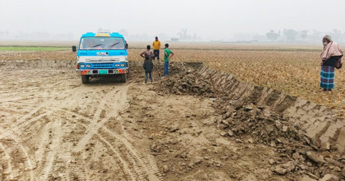 Cropland losing fertility as brick kilns use topsoil in Bogra