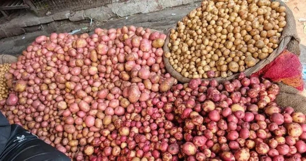 New potato prices soar due to supply crunch in Dinajpur