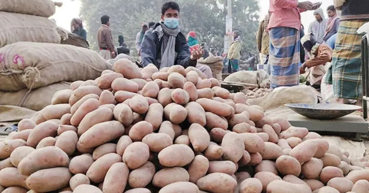 Farmers fear losses as prices of newly harvested potatoes drop steeply