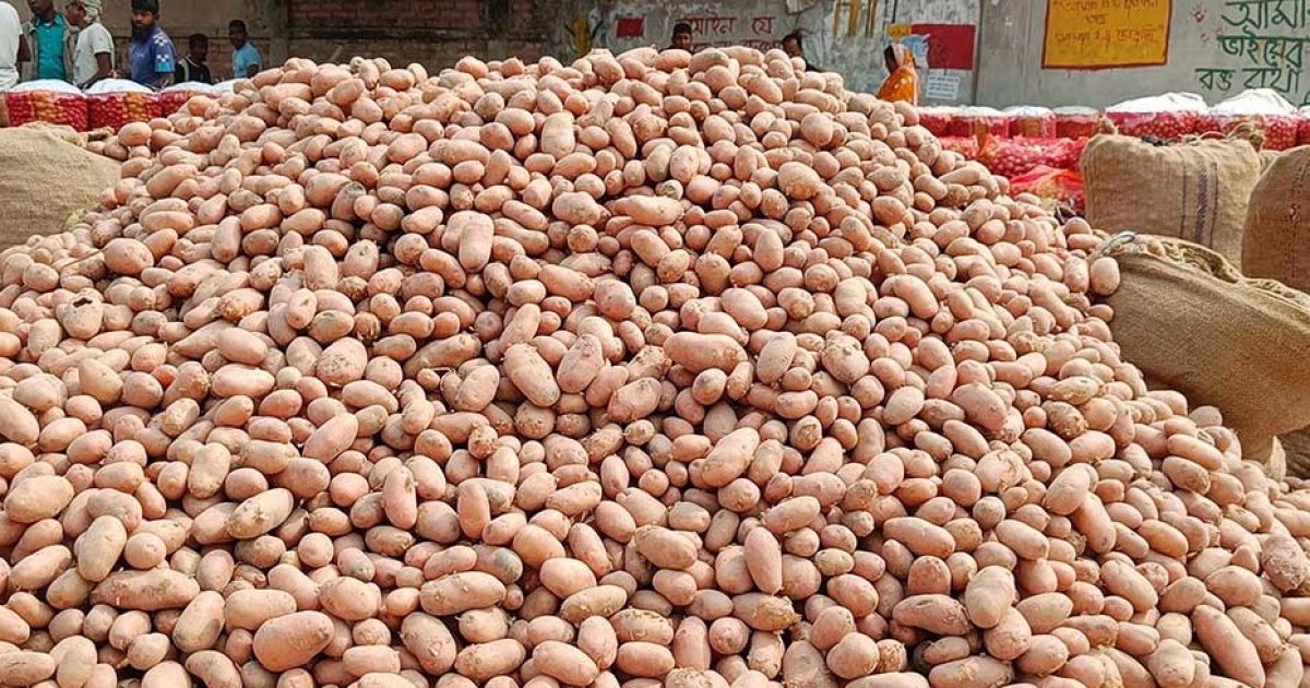 Potato growers suffer heavy losses as wholesale prices fall below production costs