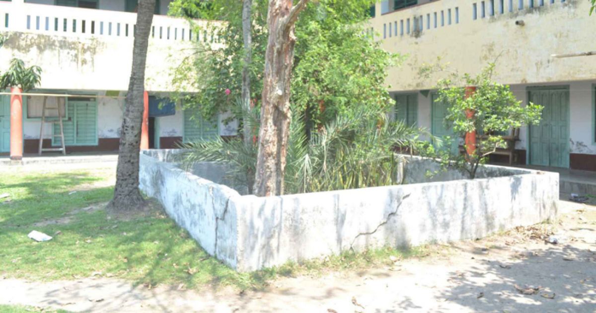 জেসোরে গণহত্যা দিবস আজ: ১৯৭১-এর নির্মম হত্যাকাণ্ডের স্মরণ