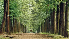 Mirpur botanical garden descends into den of iniquity