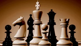 Ziaur joint top at Open Chess in Delhi