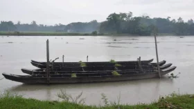 Yet another dolphin found dead in Halda River