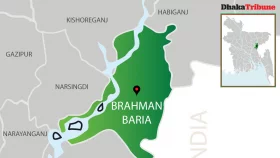Man held over idol vandalism in Brahmanbaria