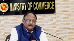 Tipu blames opportunistic traders for green chillies price hike