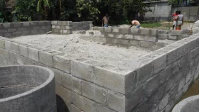 The &lsquo;green bricks&rsquo; revolution