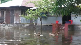 Hundreds of families marooned after Bagerhat embankment collapse