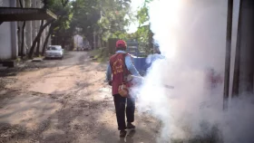 Which Dhaka wards are at high risk of dengue?