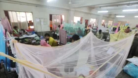 What are Dhaka city corporations doing to combat dengue spread this year?