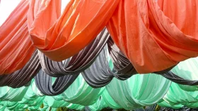 Budget FY25: Textile millers get duty cuts on raw material imports