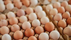 Egg prices in Bangladesh sixth-lowest among 96 countries