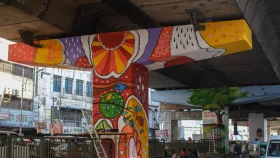 Robbers exploit Mouchak-Moghbazar Flyover structure for hideouts