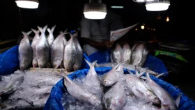 Bangladesh seeks India’s cooperation in harmonizing Ilish fishing