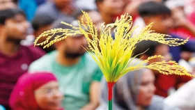 BNP's turbulent tides