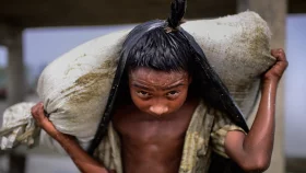 BBS Survey: 1.78m children engage in child labour in Bangladesh