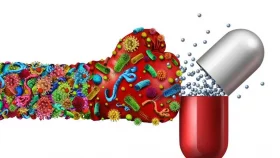 Study: 70% of bacteria found in nature resistant to antibiotics