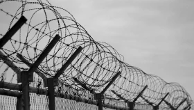 Bangladeshi shot dead by BSF along Thakurgaon border