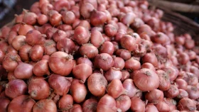 Uncertainty looms over onion import from India despite lifting ban