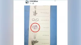 Upazila polls: Gaibandha candidate under fire for posting ballot paper photo