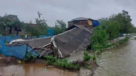 Cyclone Remal causes losses of over 900C in fisheries and livestock sectors