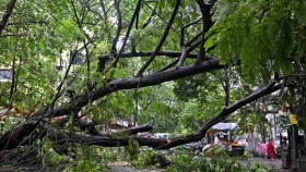 NDRCC: Cyclone Remal destroys 275,000 houses