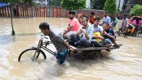 Stopgap solutions will not fix waterlogging