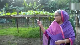 PM Hasina: Make a Green Bangladesh