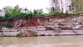 River erosion in Sariakandi as water level rises in Jamuna