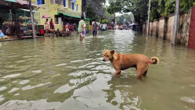 Heavy rain submerges Sylhet, Osmani hospital affected