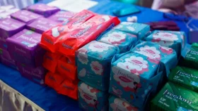Sanitary napkins, diapers may remain affordable