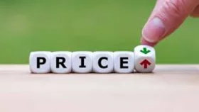 Budget FY25: Price up, price down