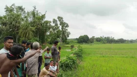 Bangladeshi killed in BSF gunfire along Comilla border