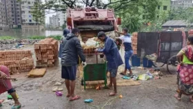 Eid animal waste clean-up: DNCC targets 6hrs, DSCC aims for 24hrs