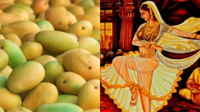 How the Amrapali mango was named?