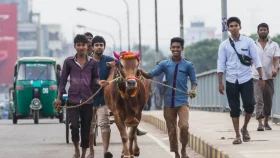 Eid-ul-Azha tips: How to keep your home, surroundings spotless after animal sacrifice