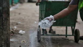 DNCC completes sacrificial animal waste removal on second day of Eid