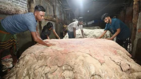 BGB intensifies border vigilance to curb rawhide smuggling to India