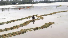 Flood risk rises as heavy rainfall predicted in Bangladesh
