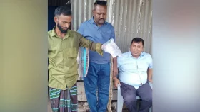 Faridpur farmer catches Russell&rsquo;s Viper in hopes of Tk50,000 reward