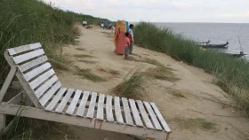 How misinformation on Russell&rsquo;s Viper is deterring visitors from Padma banks in Rajshahi