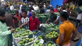 Rangpur&rsquo;s Haribhanga mangoes exported to Germany; traders eye other nations